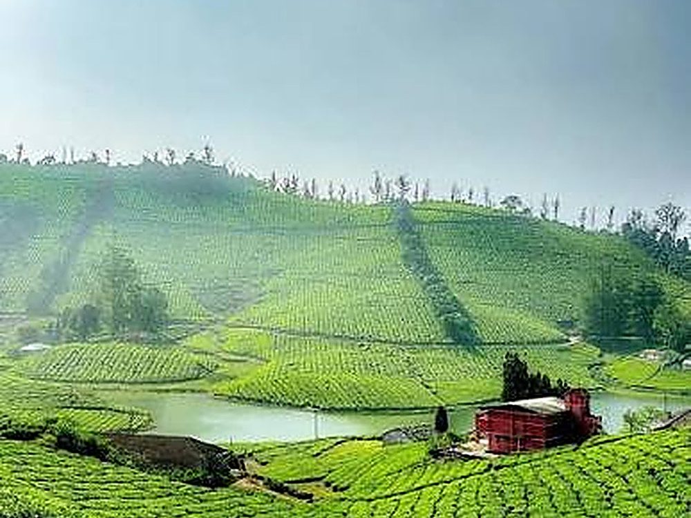 Megamalai, Theni – misty green hills