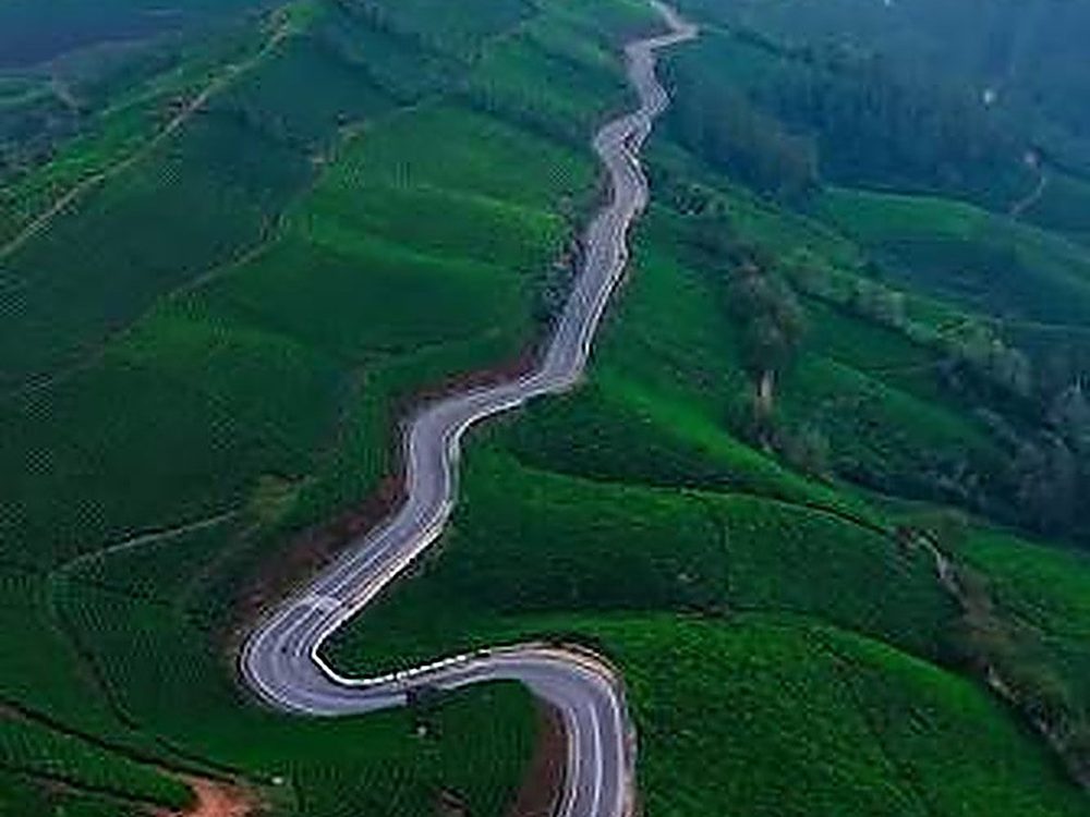 Winding road through tea hills at Munnar